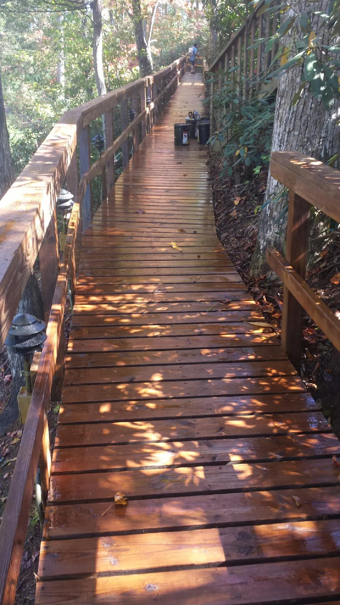 Freshly stained wood walkway winding through the woods in Pleasant Lake